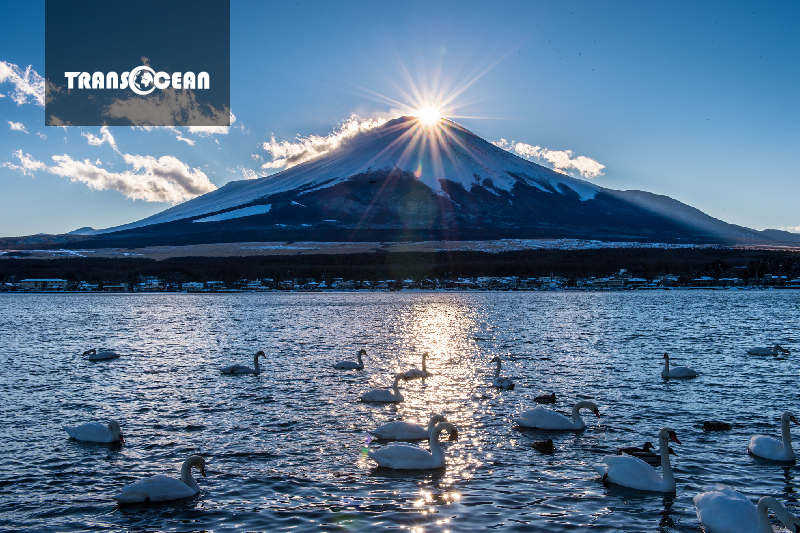 NHẬT BẢN MÙA ĐÔNG | OSAKA – KOBE – KYOTO – NAGOYA – YAMANASHI – TOKYO 9