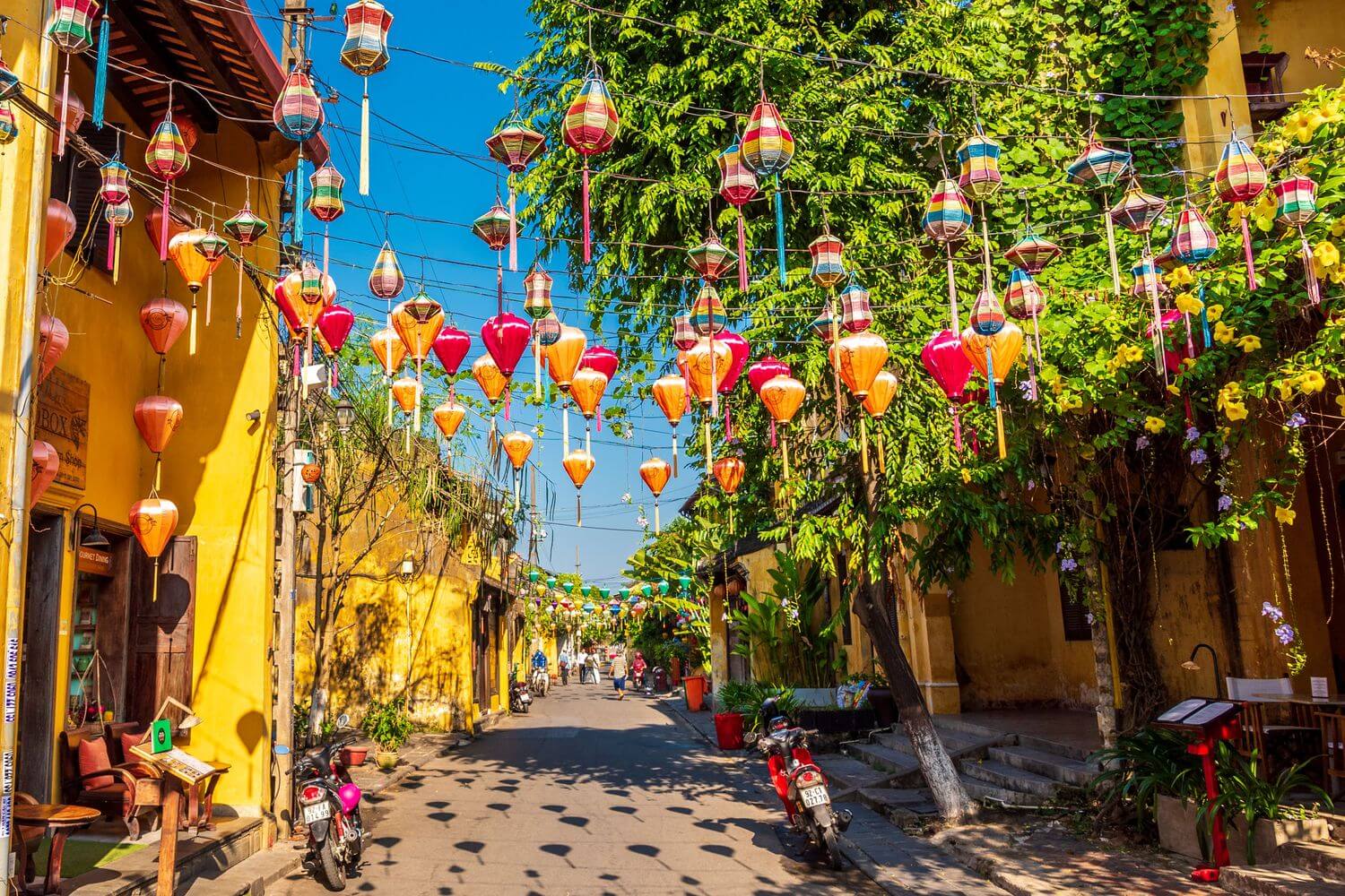 A GLIMPSE OF VIETNAM IN 8 DAYS 3