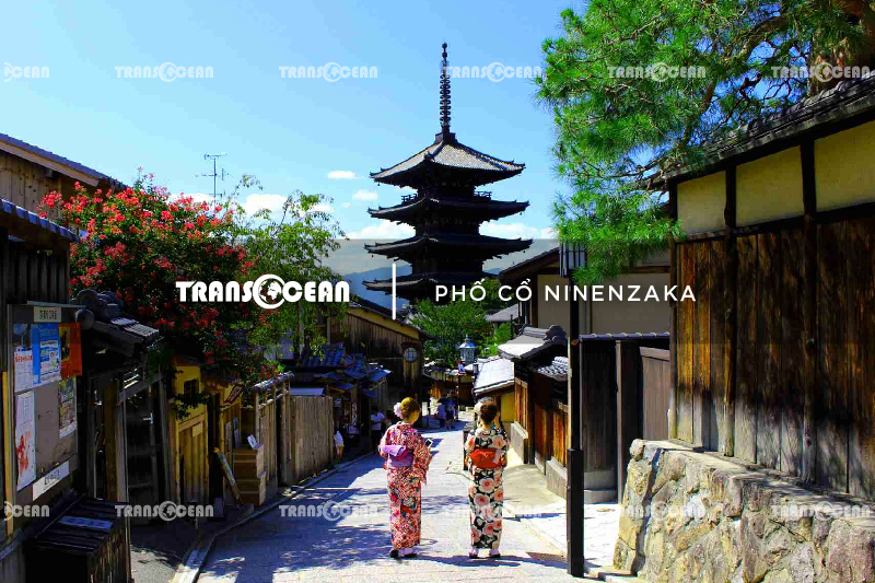 MÙA HOA ANH ĐÀO | TOKYO – FUJI – YAMANASHI