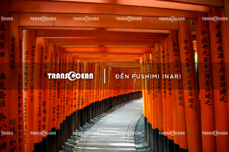 MÙA HOA ANH ĐÀO | TOKYO – FUJI – YAMANASHI 2