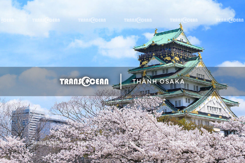 MÙA HOA ANH ĐÀO | TOKYO – FUJI – YAMANASHI 12