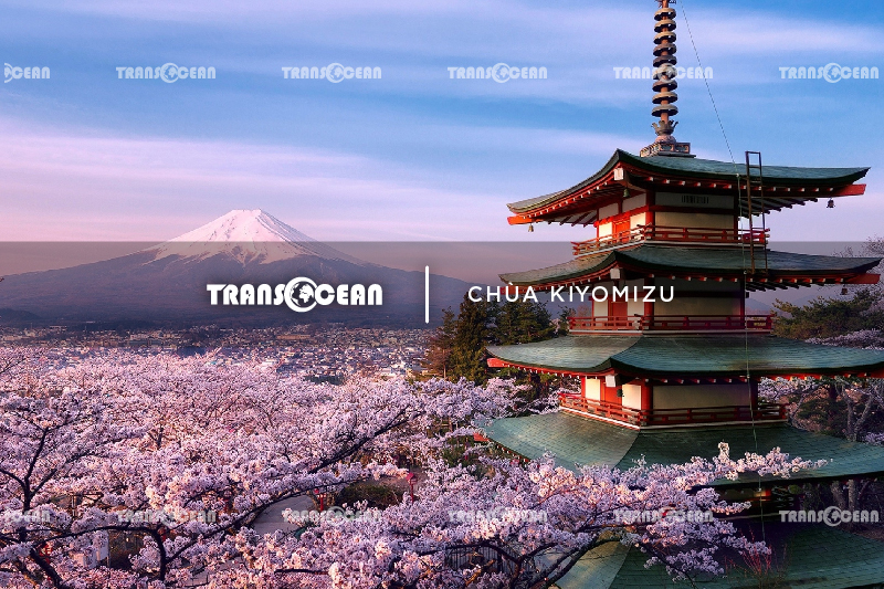 MÙA HOA ANH ĐÀO | TOKYO – FUJI – YAMANASHI 13