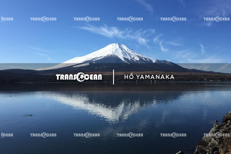 MÙA HOA ANH ĐÀO | TOKYO – FUJI – YAMANASHI 14