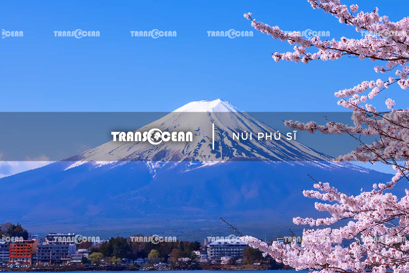 MÙA HOA ANH ĐÀO | TOKYO – FUJI – YAMANASHI 15