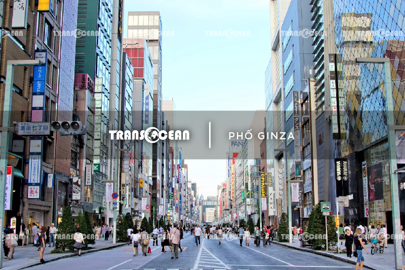 MÙA HOA ANH ĐÀO | TOKYO – FUJI – YAMANASHI 24