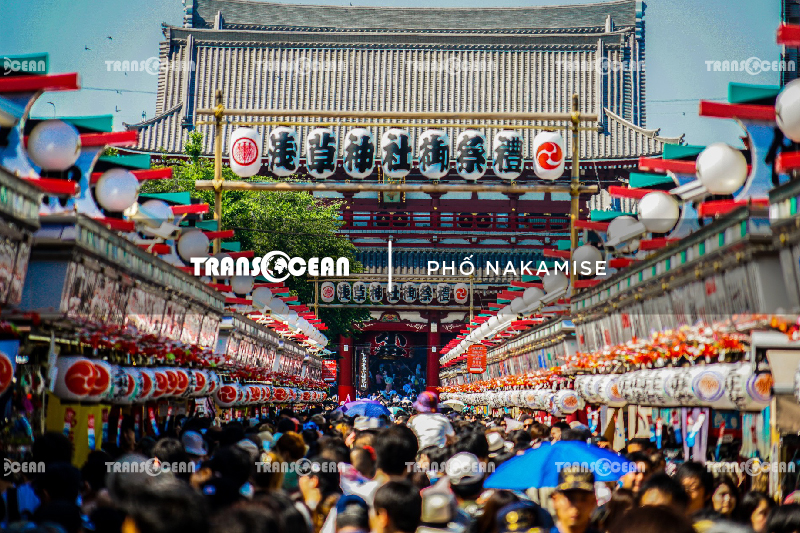 MÙA HOA ANH ĐÀO | TOKYO – FUJI – YAMANASHI 27