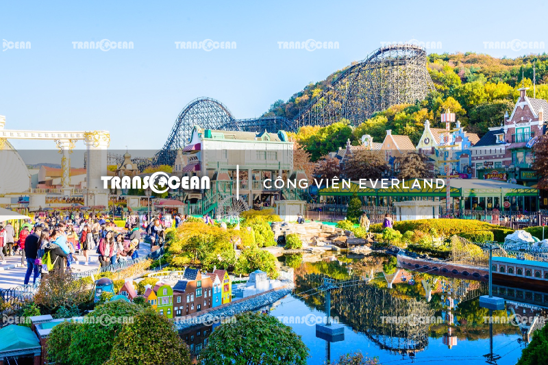 TOUR HÀN QUỐC MÙA HOA ANH ĐÀO | SEOUL - NAMI - EVERLAND - BLOSSOM FLOWERS YEOUIDO PARK 3