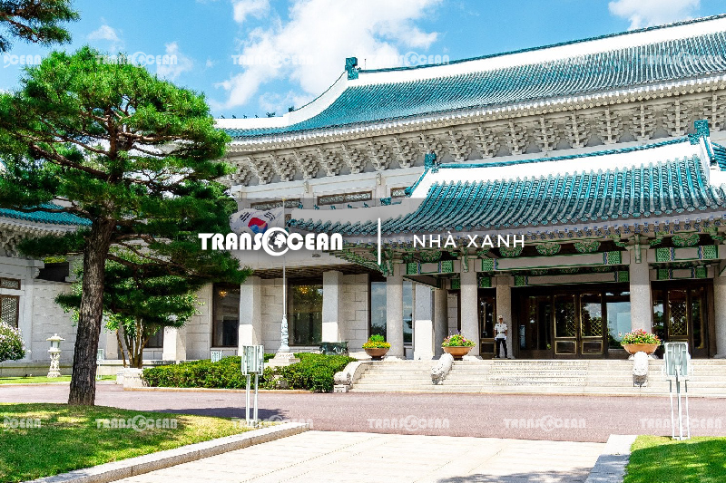 TOUR HÀN QUỐC MÙA HOA ANH ĐÀO | SEOUL - NAMI - EVERLAND - BLOSSOM FLOWERS YEOUIDO PARK 6