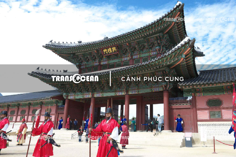 DU LỊCH HÀN QUỐC | SEOUL - JEJU - LOTTE WORLD - NAMI