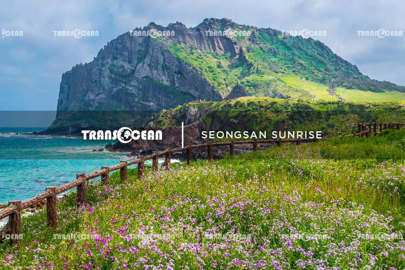 DU LỊCH HÀN QUỐC | SEOUL - JEJU - LOTTE WORLD - NAMI 8