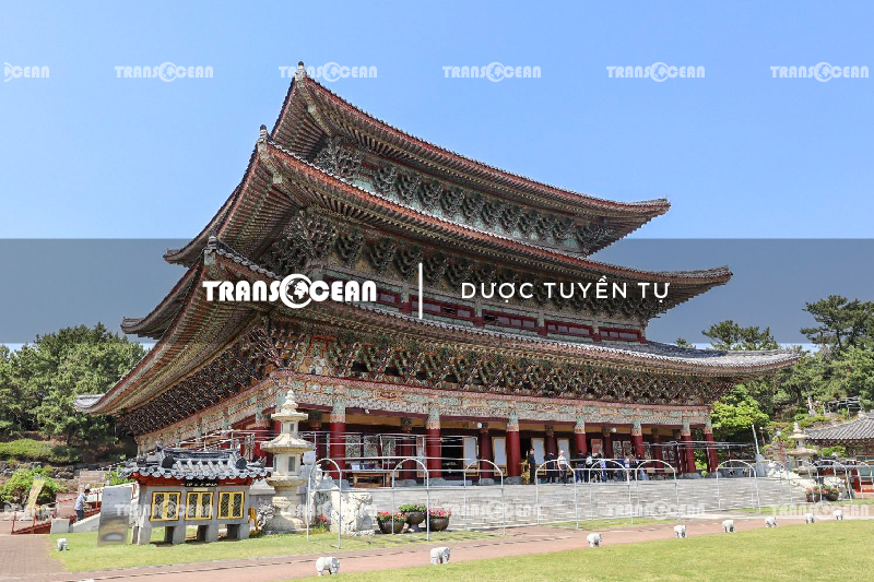 DU LỊCH HÀN QUỐC | SEOUL - JEJU - LOTTE WORLD - NAMI 10