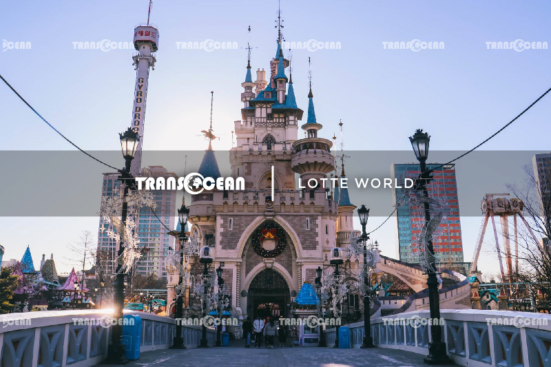 DU LỊCH HÀN QUỐC | SEOUL - JEJU - LOTTE WORLD - NAMI 13