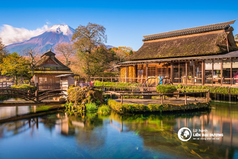 TOUR MÙA HOA ANH ĐÀO NHẬT BẢN | TOKYO – FUJI – YAMANASHI 2