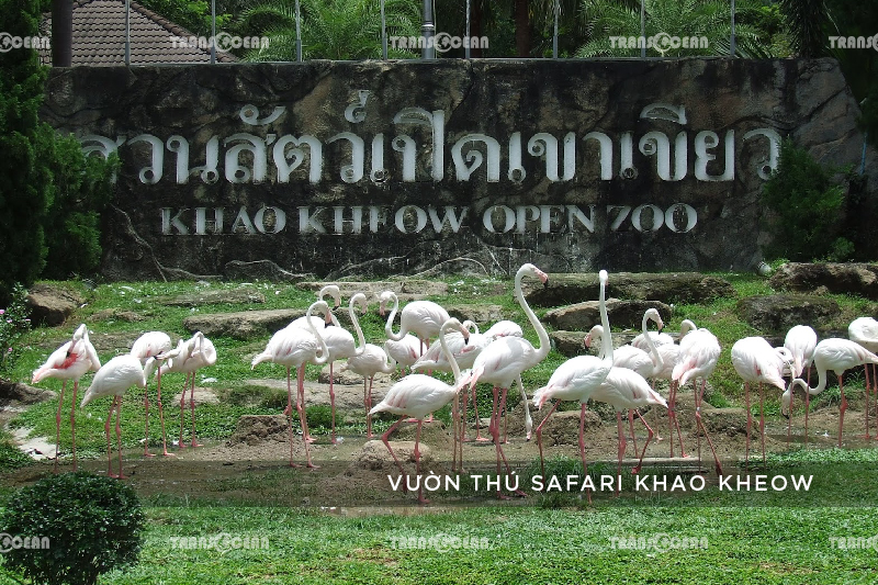 TOUR DU LỊCH THÁI LAN | BANG KOK - PATTAYA 5N4Đ (VN)