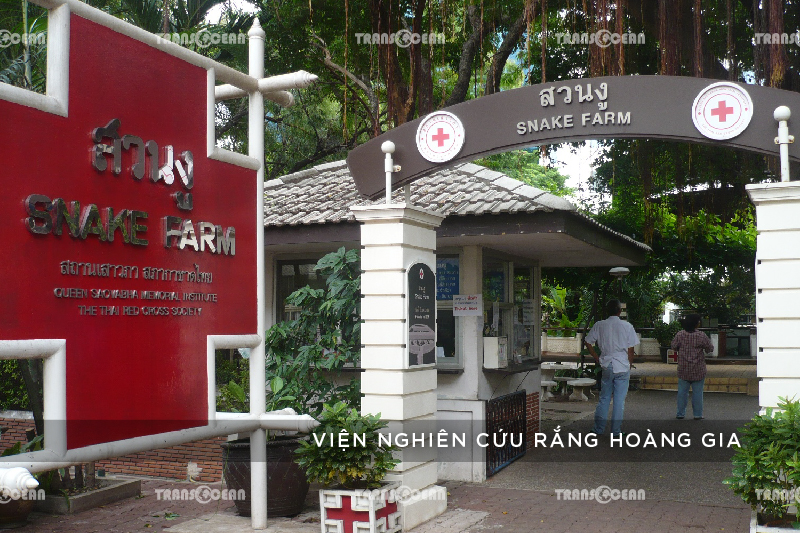 TOUR DU LỊCH THÁI LAN | BANG KOK - PATTAYA 5N4Đ (VN) 16