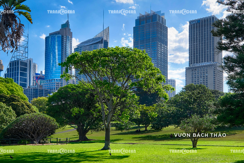 TOUR CHÂU ÚC | MELBOURNE – SYDNEY 9