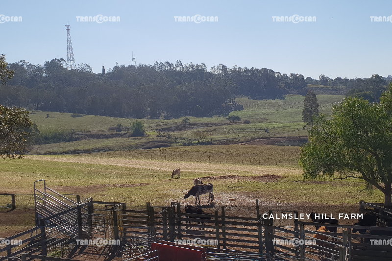 TOUR CHÂU ÚC | MELBOURNE – SYDNEY 11