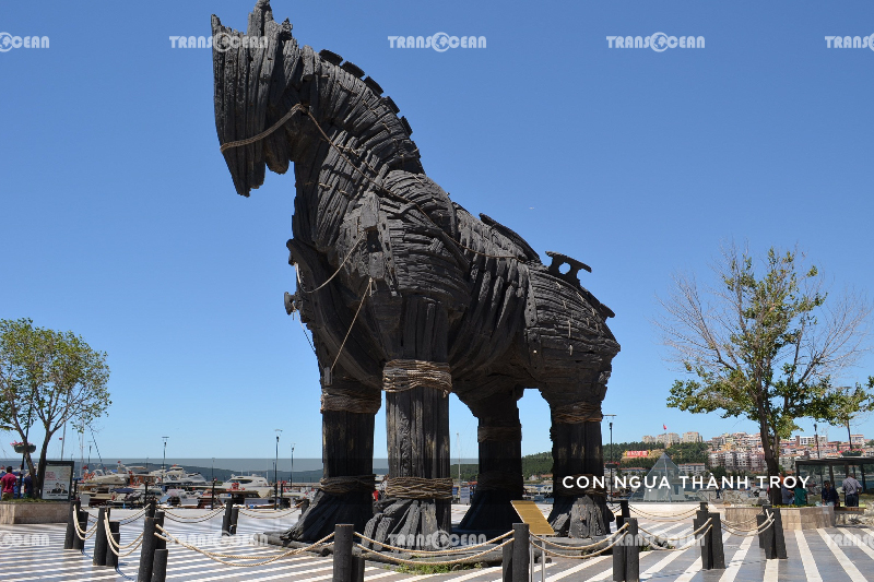TOUR DU LỊCH THỔ NHĨ KỲ | ISTANBUL – CANAKKALE – TROY – KUSADASI – PAMUKKALE – KONYA – CAPPADOCIA 6