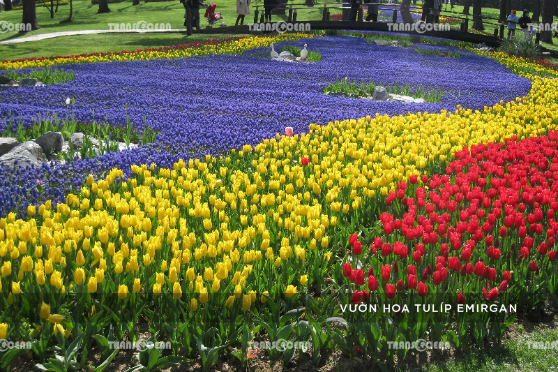 TOUR DU LỊCH THỔ NHĨ KỲ | ISTANBUL – CANAKKALE – TROY – KUSADASI – PAMUKKALE – KONYA – CAPPADOCIA 28