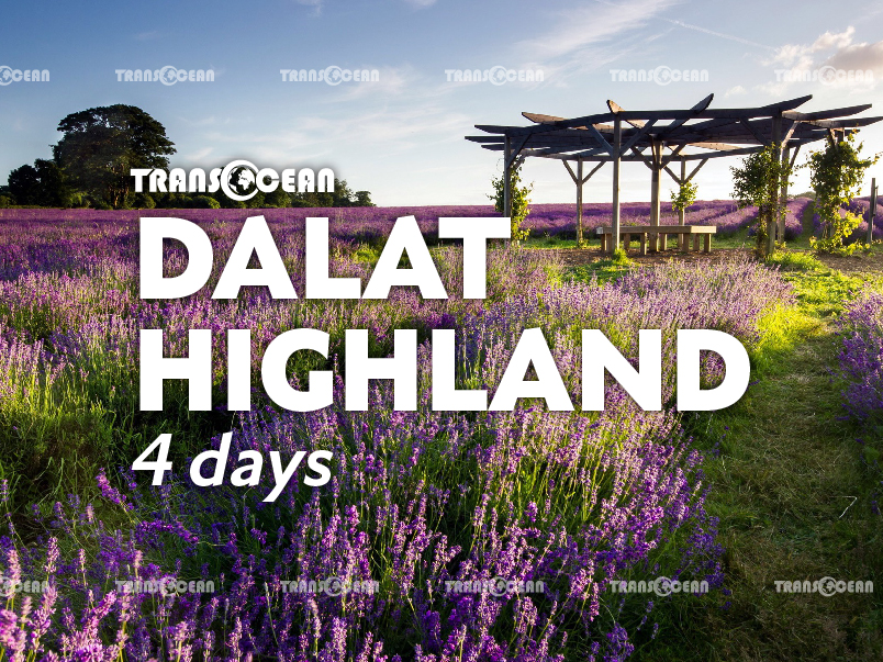 DA LAT HIGHLAND 4 DAYS 3 NIGHTS 1