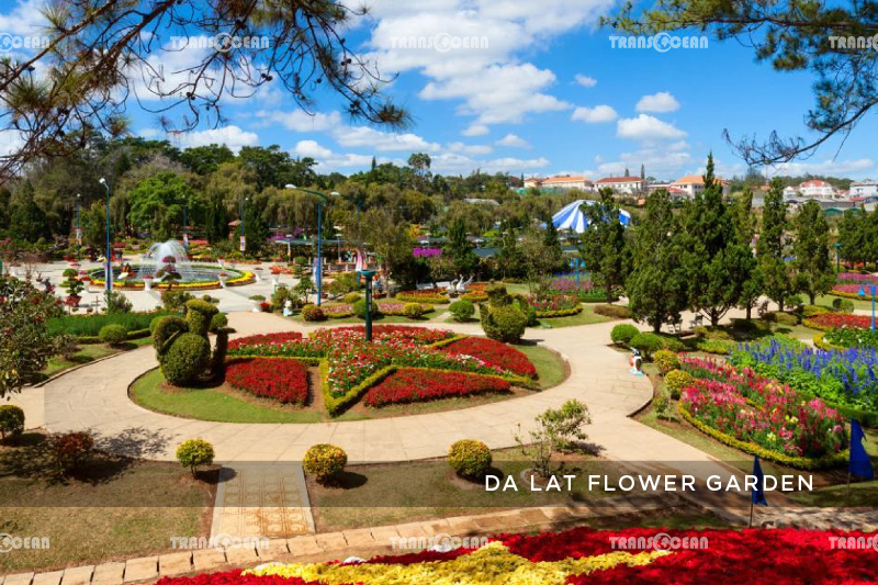 DA LAT HIGHLAND 4 DAYS 3 NIGHTS 4