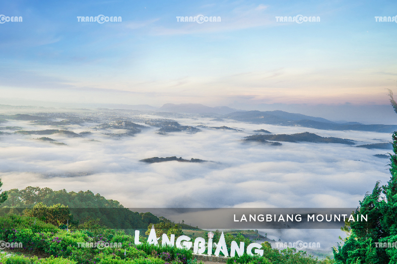 DA LAT HIGHLAND 4 DAYS 3 NIGHTS 7