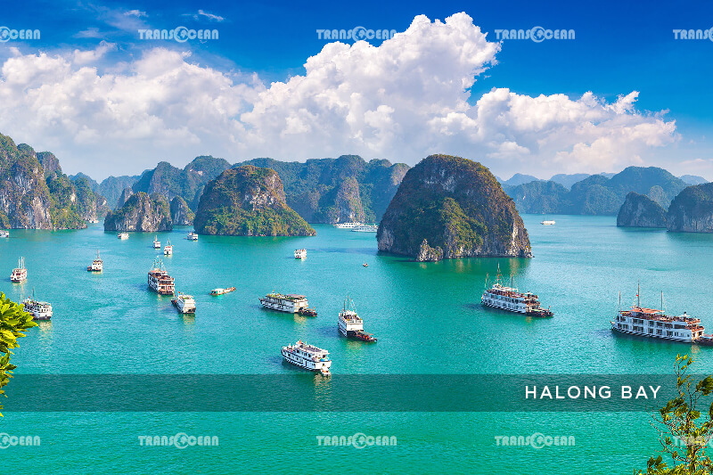 8 DAYS DISCOVER VIETNAM 11