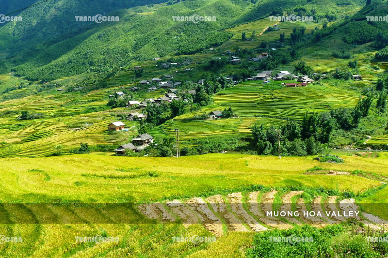 NORTH OF VIETNAM 6 DAYS HALONG & SAPA 8