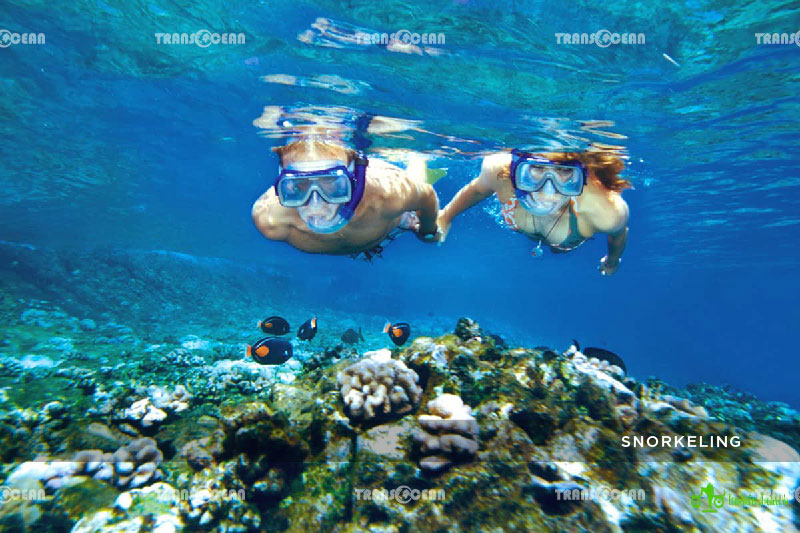 HONEYMOON VACATION 9 DAYS 8 NIGHTS 9