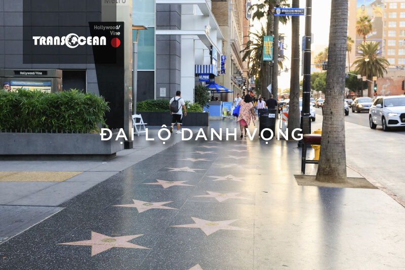 TOUR MỸ 2020 | KHÁM PHÁ BỜ TÂY HOA KỲ 7N6Đ 8