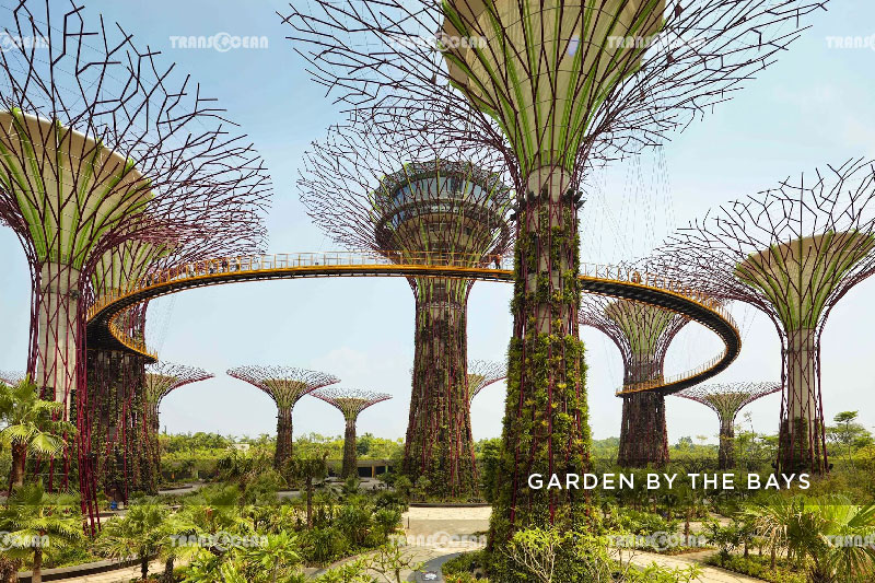 THIÊN ĐƯỜNG MUA SẮM | THÀNH PHỐ SƯ TỬ BIỂN "SINGAPORE" 8