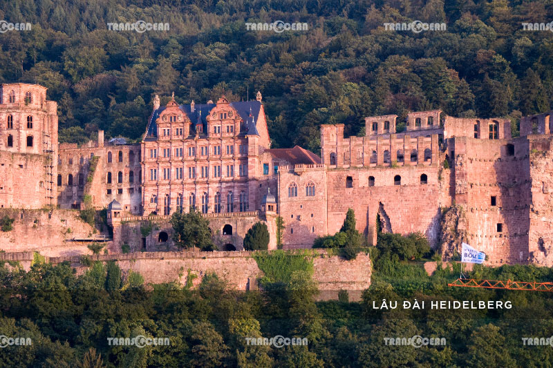 TOUR CHÂU ÂU | PHÁP – ĐỨC – BỈ – HÀ LAN 13