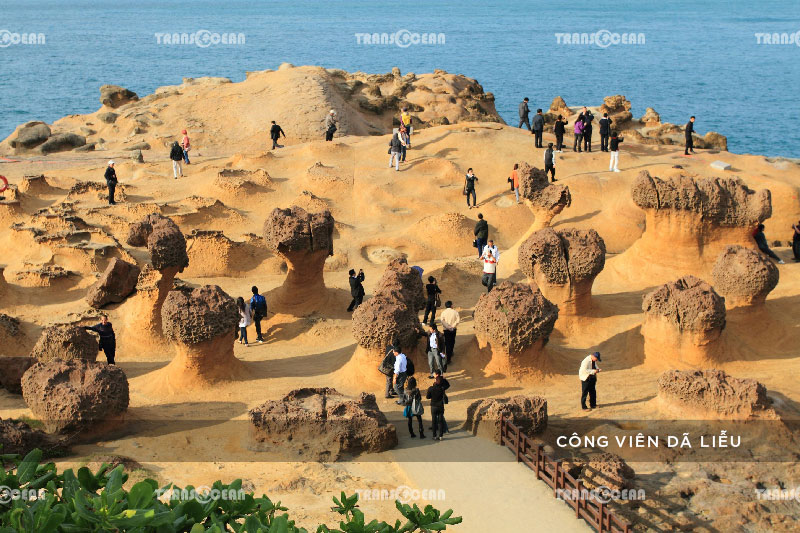 TOUR DU LỊCH ĐÀI LOAN | CAO HÙNG – ĐÀI TRUNG – ĐÀI BẮC 12