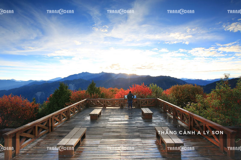 TOUR DU LỊCH ĐÀI LOAN | CAO HÙNG – ĐÀI TRUNG – ĐÀI BẮC 15