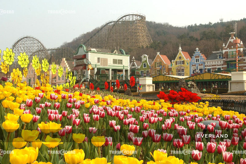 TOUR MÙA THU HÀN QUỐC| SEOUL-NAMI-EVERLAND-HERO SHOW 5