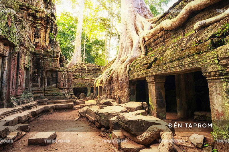 DU XUÂN CANH TÝ | SIEMREAP – SAFARI – PHNOMPENH 4N3Đ 4