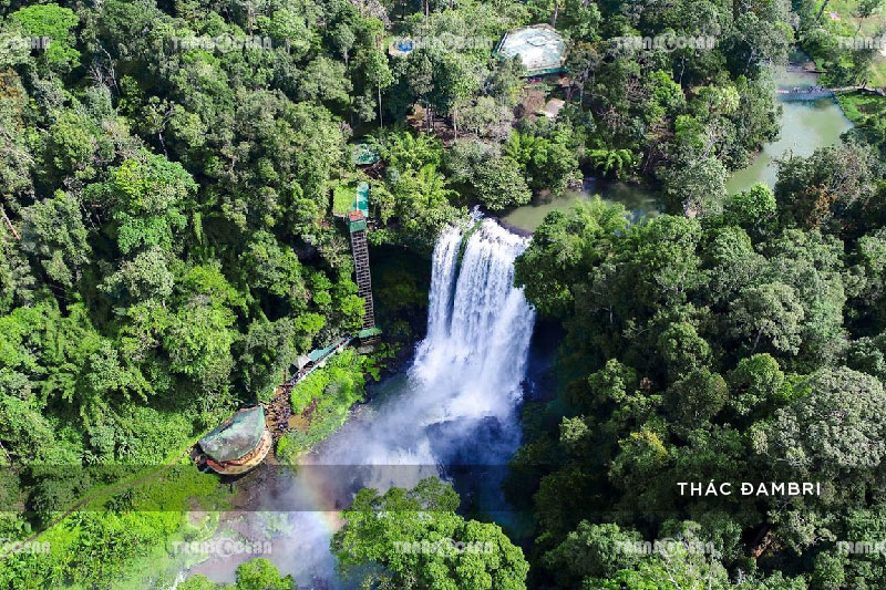 ĐÀ LẠT | THÀNH PHỐ TRÊN CAO NGUYÊN 2