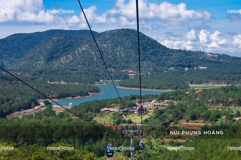 ĐÀ LẠT | THÀNH PHỐ TRÊN CAO NGUYÊN 13