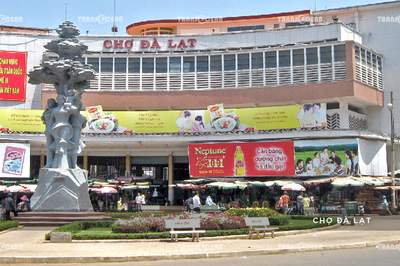 ĐÀ LẠT | THÀNH PHỐ TRÊN CAO NGUYÊN 17