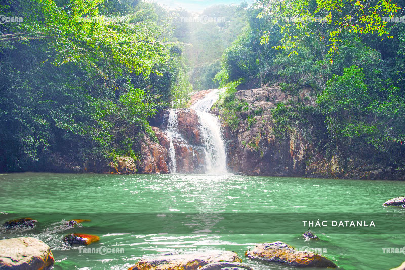ĐÀ LẠT | VƯỜN HOA CẨM TÚ CẦU - ĐỒI CHÈ CẦU ĐẤT - VƯỜN DÂU - THÁC DALTALA 3