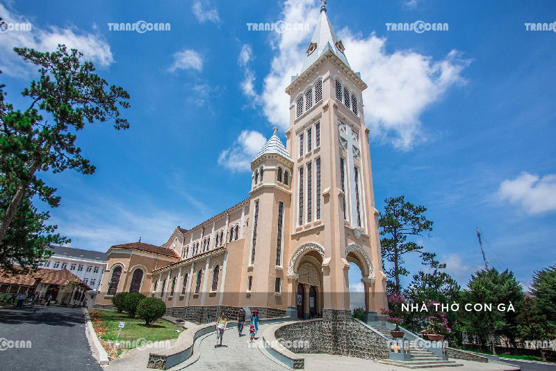 ĐÀ LẠT | VƯỜN HOA CẨM TÚ CẦU - ĐỒI CHÈ CẦU ĐẤT - VƯỜN DÂU - THÁC DALTALA 5