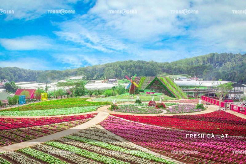TOUR ĐÀ LẠT – DU THUYỀN – XỨ SỞ THẦN TIÊN – WONDER RESORT 4 SAO 8