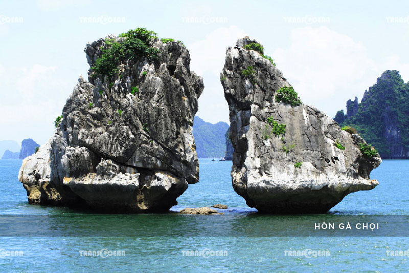 TOUR MIỀN BẮC | HÀ NỘI – BÁI ĐÌNH – TRÀNG AN – HẠ LONG – YÊN TỬ 2N1Đ 10