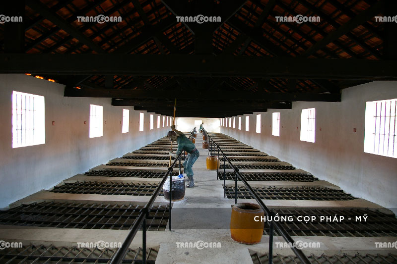 TRẢI NGHIỆM CÔN ĐẢO 2N1Đ 8