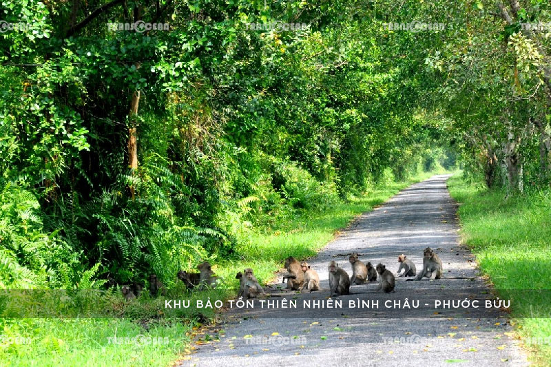 TEAM BUILDING | TOUR DU LỊCH HỒ TRÀM KẾT HỢP 3