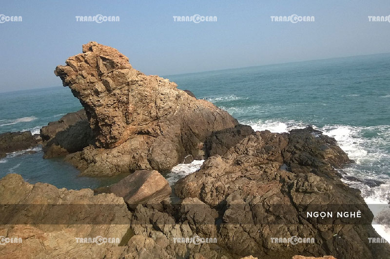 ĐÀ NẴNG - SƠN TRÀ - HỘI AN - BÀ NÀ - HUẾ - ĐỘNG PHONG NHA 5N4Đ 3