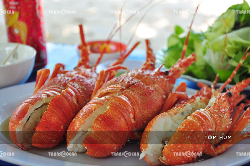 TOUR DU LỊCH SINH THÁI ĐẢO BÌNH BA 5