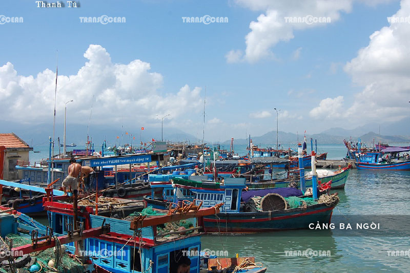BÌNH BA | KHÁM PHÁ VƯƠNG QUỐC TÔM HÙM 2