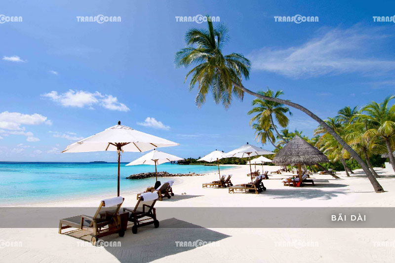NHA TRANG | CON SẺ TRE - VINPEARL LANDS