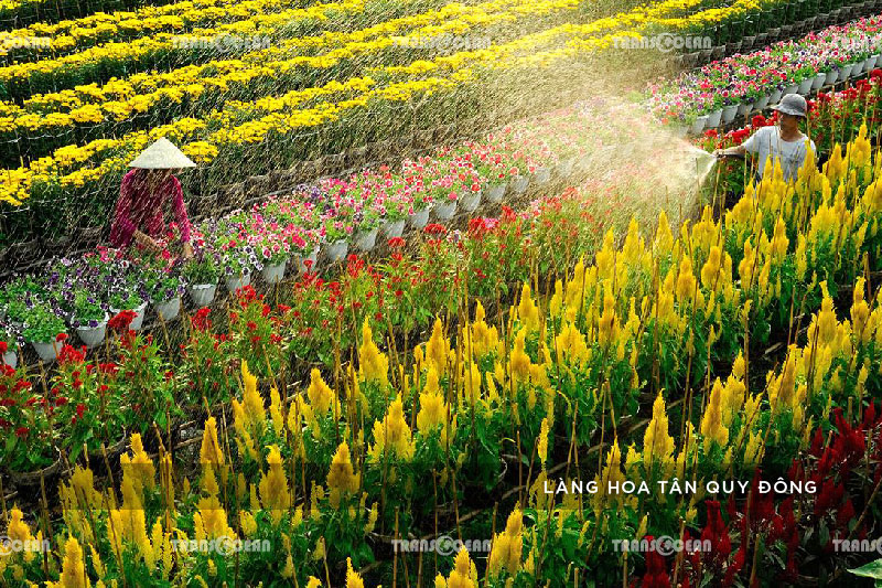 TOUR DU LỊCH MIỀN TÂY MÙA NƯỚC NỔI 5